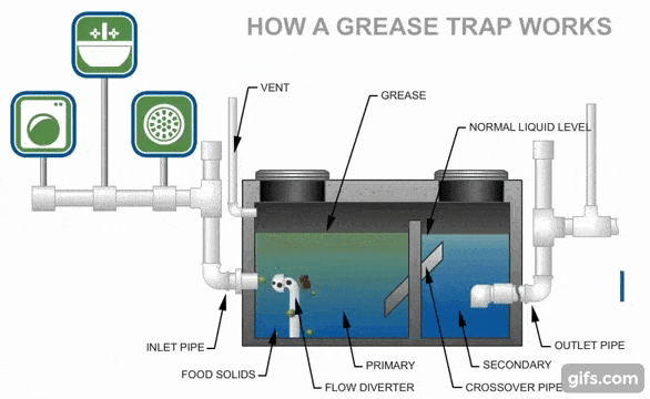 Animation of how a grease trap works