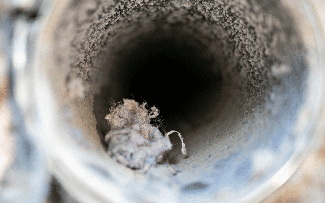 The Importance of Regular Lint Interceptor Cleaning for Commercial Laundry Operations