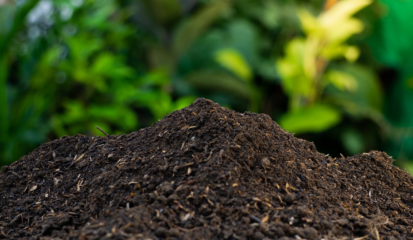 Compost