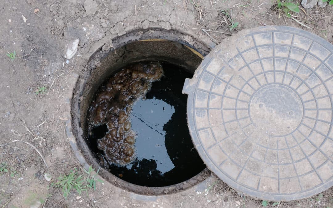 Grease Trap vs. Septic Tank: What’s the Difference?