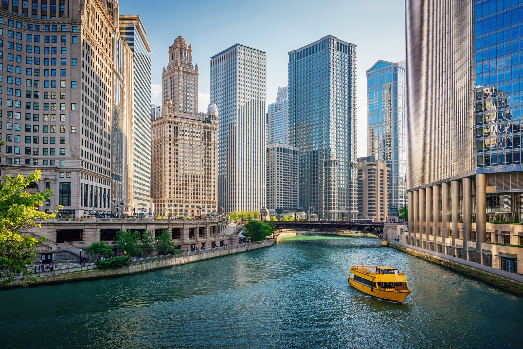 Chicago River Cityscape in Summer Downtown Chicago Skyscrapers Chicago, Illinois