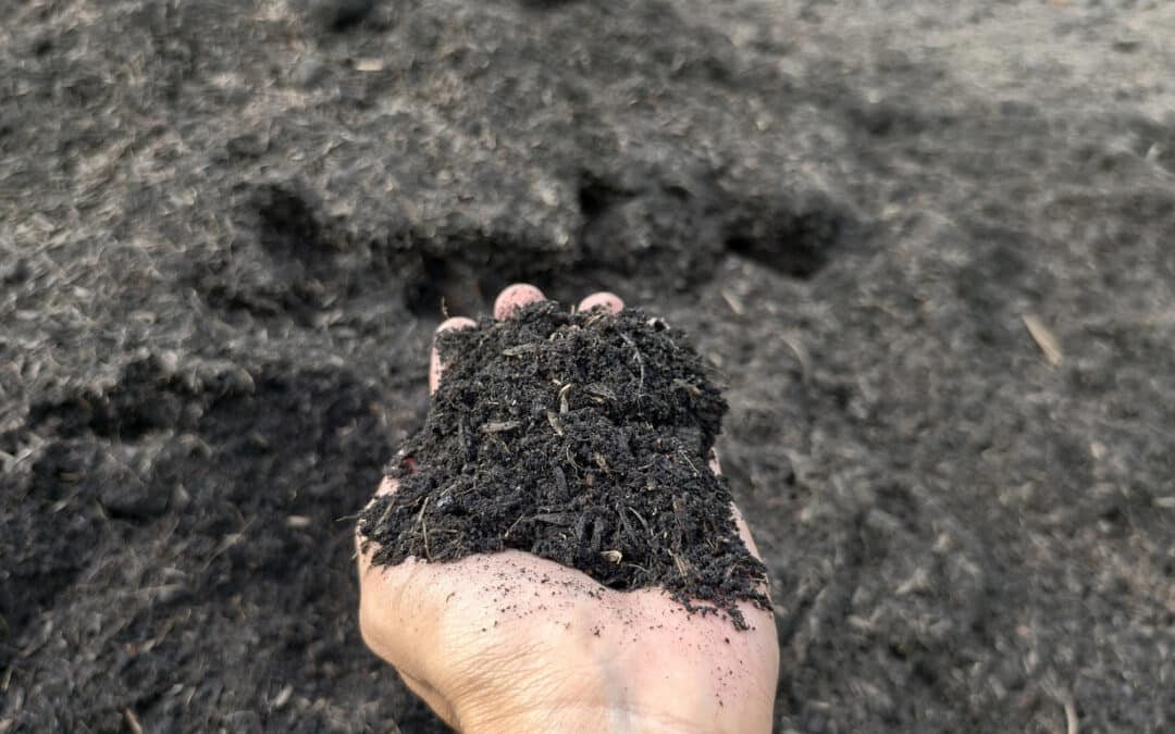 Bulk Compost Supply in San Antonio
